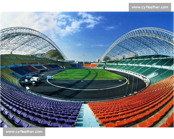 体育赛事中心助力城市发展 引领体育产业新风潮