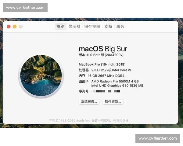 体育APP苹果版本全新体验下载指南与功能亮点深度解析推荐精选